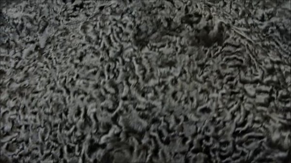 karakul (каракуль)