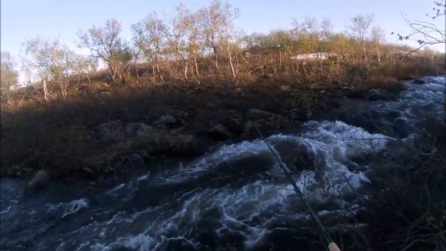 Рыбалка на Кольском,с удочкой по тундре смотреть онлайн