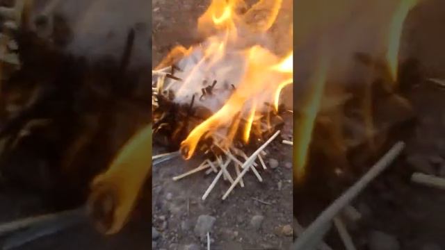 Этот чувак укусил маю ногу ! Помагитееее.!.... смотреть онлайн