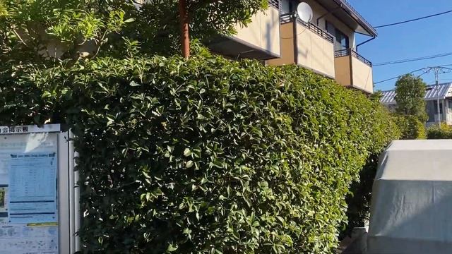 【鎌倉エリア売買物件】鎌倉の落ち着いた住宅街にある戸建｜6300 смотреть онлайн