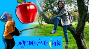 ВЛОГ Лазаем по деревьям