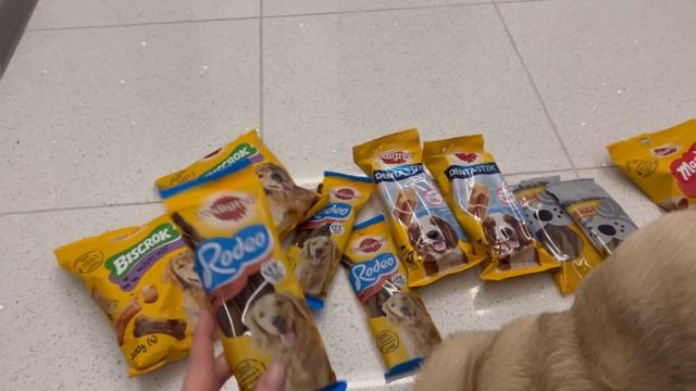 Вкусняшки для мопса ?Как выглядит рай для мопса?? смотреть онлайн