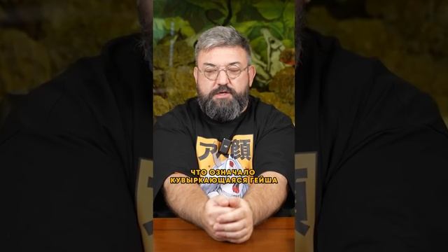 КАКИЕ СУЩЕСТВУЮТ ВИДЫ ГЕЙШ #история #гейши #япония #саморазвитие #shorts смотреть онлайн