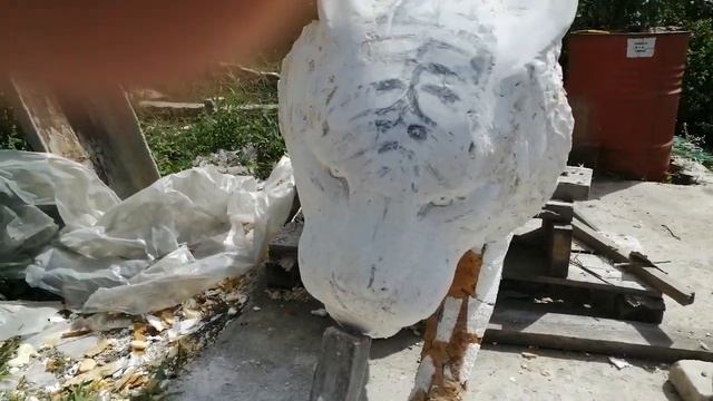 Тигр морда смотреть онлайн