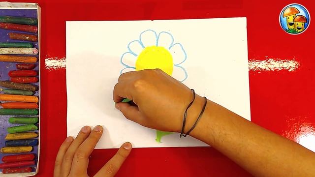 Как нарисовать РОМАШКУ цветок цветными мелками для детей смотреть онлайн