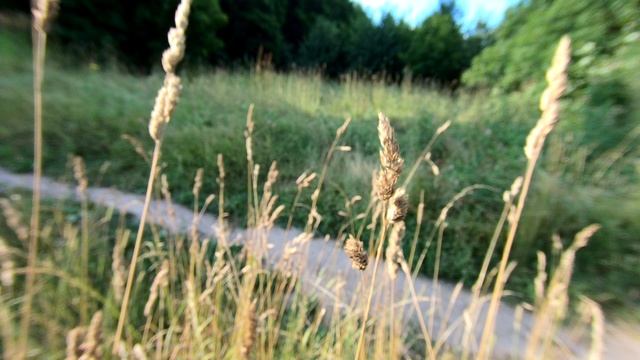 Весна - Лето - Осень.