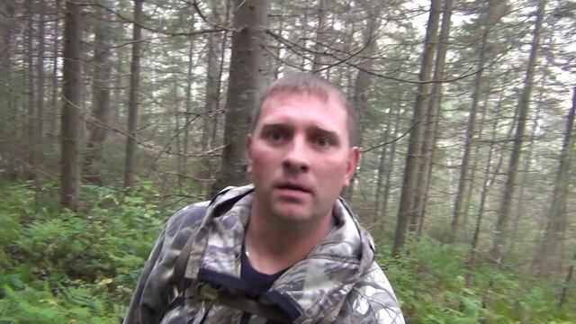 Реки Сибири I р. Тельбес IWalking through Siberian rivers I R. I TelbecI смотреть онлайн