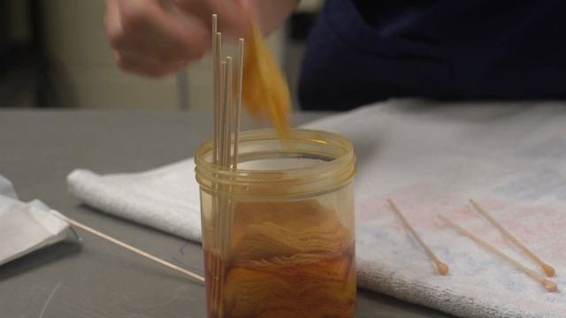 Meet Gorp the Green Sea Turtle смотреть онлайн