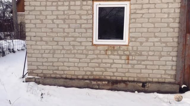 Кошкин Дом! смотреть онлайн