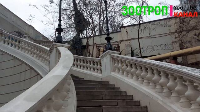 Деволановский спуск. Одесса сегодня. Прогулки по Одессе. Руины в городе. Одесса-Порт. #зоотроп смотреть онлайн