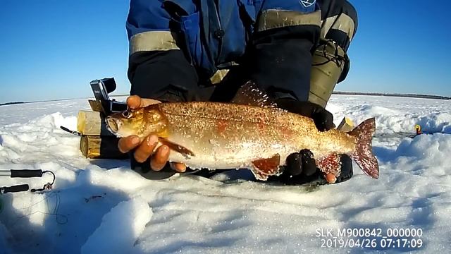 Клёвые моменты. смотреть онлайн