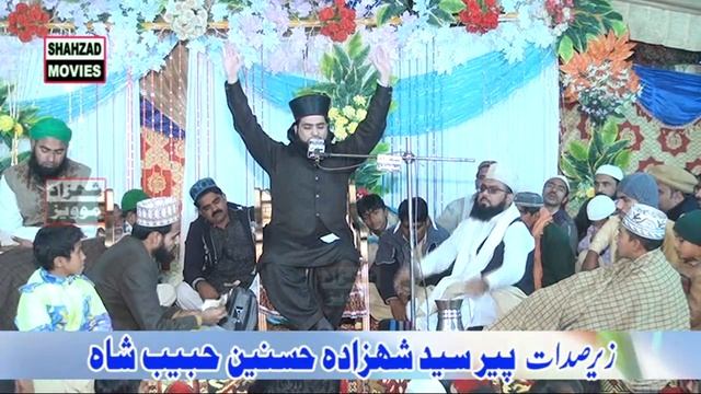 Allama Imtiaz Ahmad Sultani смотреть онлайн