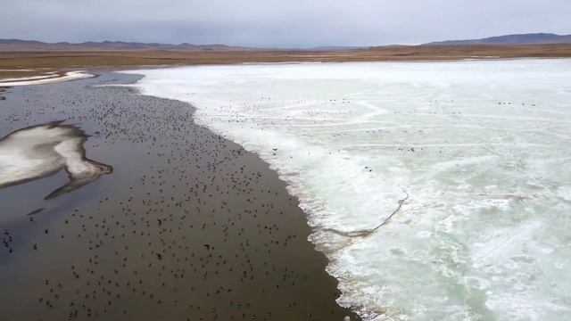 Белое озеро. Боргойский заказник. смотреть онлайн