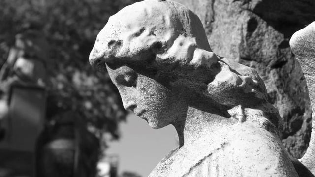 Resting Place (Black & White Photography) смотреть онлайн