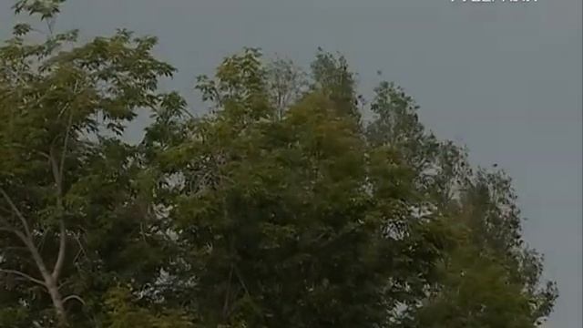 Выходные в Самарской области будут дождливые, но жаркие смотреть онлайн