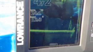 Эхолот Lowrance Elite 5 x HDI видео тест
