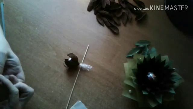 Красивый цветок/лотос/лилия смотреть онлайн