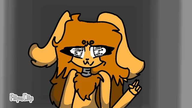 Артик пудель :3