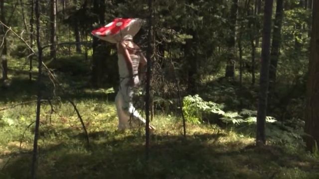 Фильм о корпоративном слёте АО Равенство - Слёт АО Равенство 2016