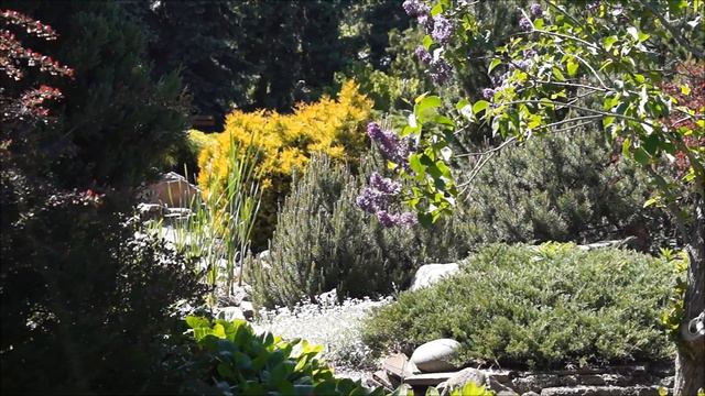 Ботанический сад Харьков Май 2017 смотреть онлайн