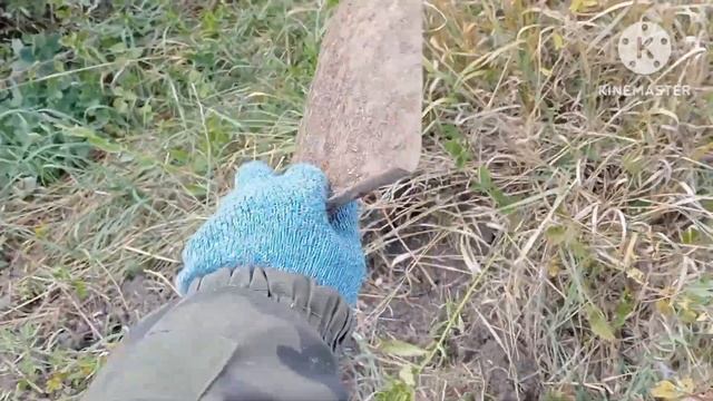 Лайтовый коп с двумя металликами за 360 км от дома в Арском районе ? смотреть онлайн