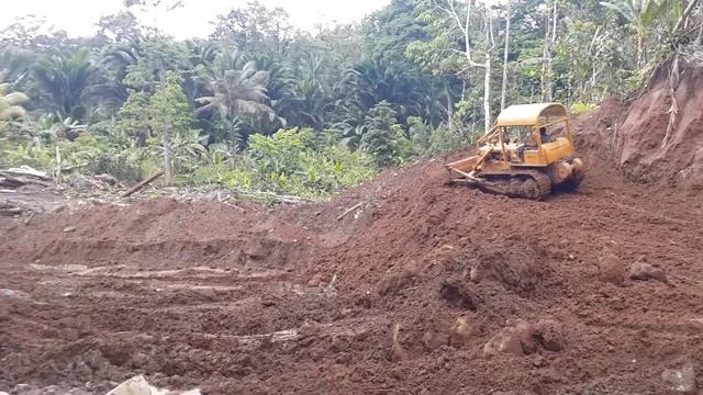 Gold mining in PNG. Gold watch project смотреть онлайн