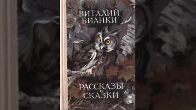 Тайна ночного леса (В.Бианки) аудиорассказ смотреть онлайн