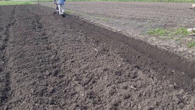 Новый способ нарезки борозд смотреть онлайн