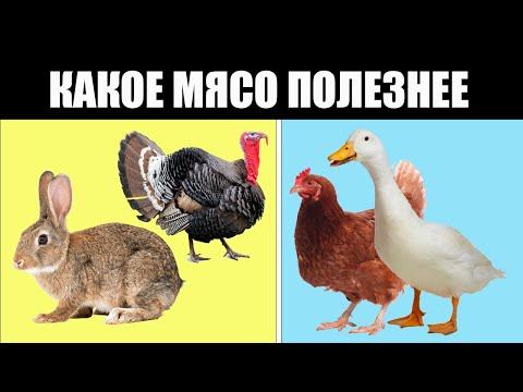 Мы сравнили 4 вида мяса. Какое мясо полезнее смотреть онлайн