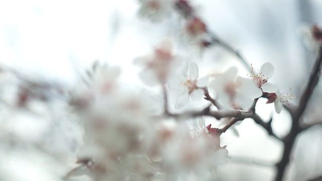sony nex-5r+Гелиос 44м смотреть онлайн