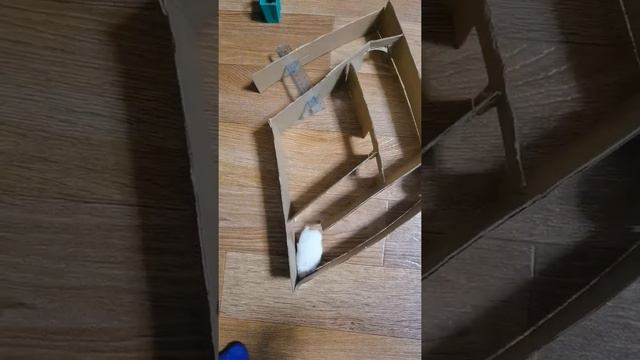 Как похудеть хомяку смотреть онлайн