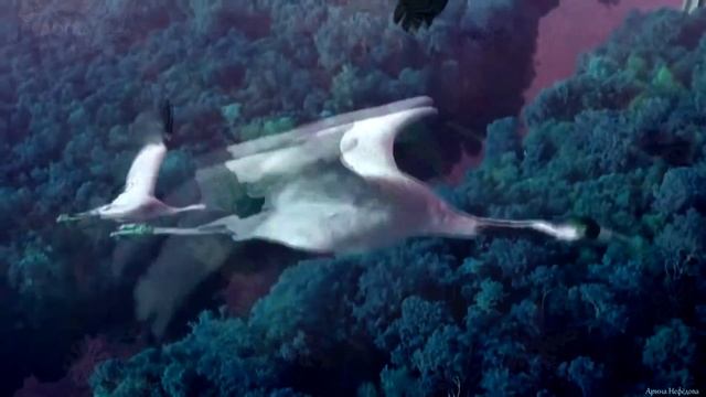 Снег смотреть онлайн