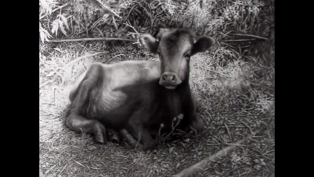 Художник Гурам Доленджашвили. Грузия. Его работы восхищают! смотреть онлайн