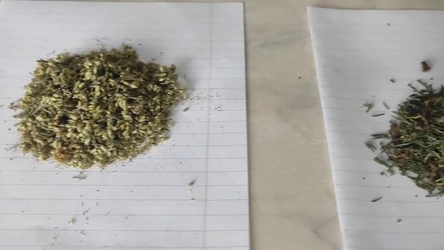 Запарка для бани смотреть онлайн