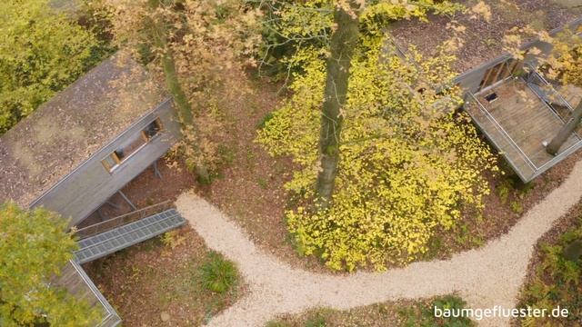 Resort ? Baumgeflüster ? Bad Zwischenahn | Übernachten im Baumhaus | Drohnen-Imagefilm смотреть онлайн
