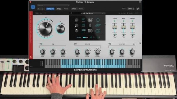 @TheCrowHillCo String Murmurations Playthrough EXCLUSIVE!