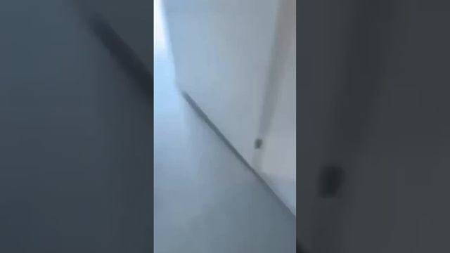 🫥 смотреть онлайн