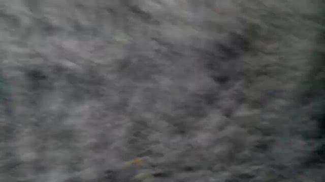 Отжимания за 30 секунд смотреть онлайн