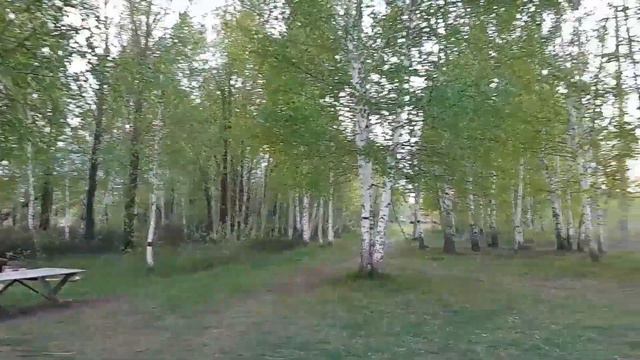 Май Тарлаши Коты смотреть онлайн