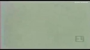 наиболее полная подборка заставок телекомпании Вид