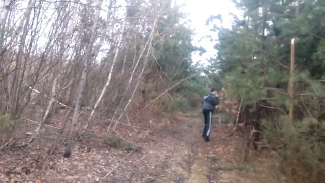 Поход у лис Часть 3