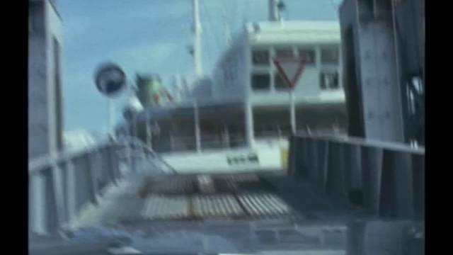 太陽にほえろ！ 第142話 真実はどこに？