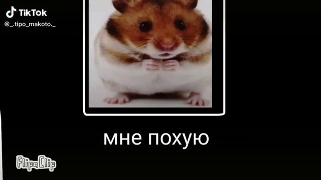 Я бронированный?✌️?(видео с тт) смотреть онлайн