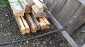 Ловила петуха. Собирали яйца в курятнике. Про наши дела и планы.
