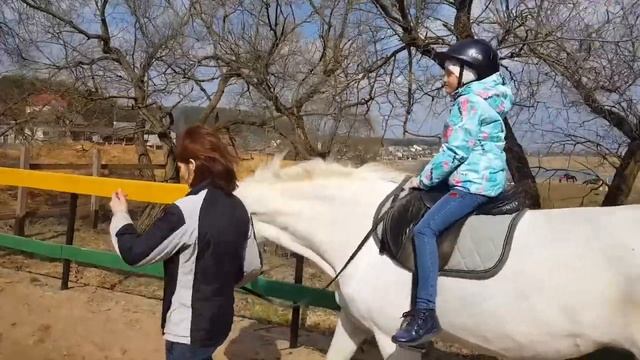 Катаемся на Лошади в конном центре на ОТКРЫТОМ манеже в Ратомке смотреть онлайн