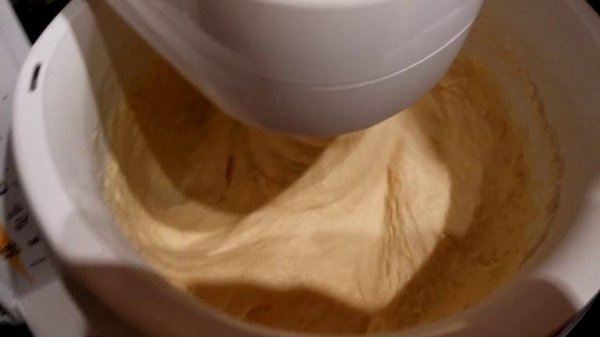 Bosch MUM4655EU ProfiMixx 46 - Test with thick pasta