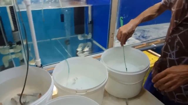 Посылка от Горюшкина Сергея Ивановича. смотреть онлайн