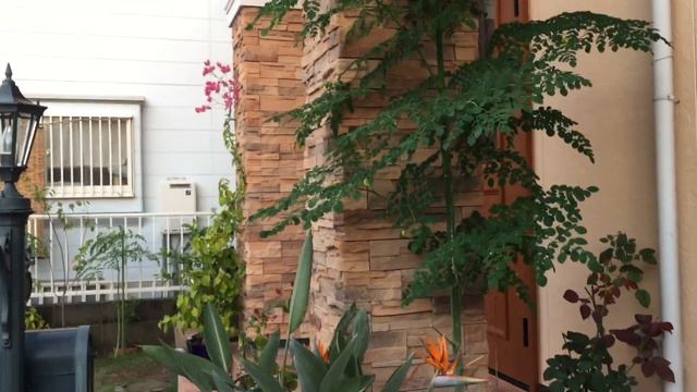 Remember The First Of November ❤️