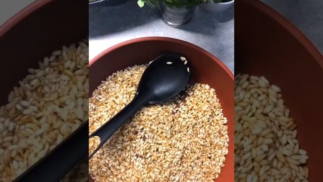 грибной суп