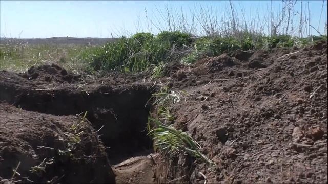 канал Саша Торопов Копаем, копаем и снова копаем. смотреть онлайн